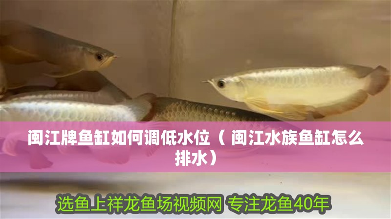 閩江牌魚(yú)缸如何調(diào)低水位（ 閩江水族魚(yú)缸怎么排水）