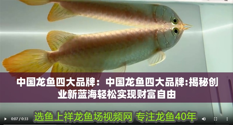 中國龍魚四大品牌：中國龍魚四大品牌:揭秘創(chuàng)業(yè)新藍海輕松實現(xiàn)財富自由