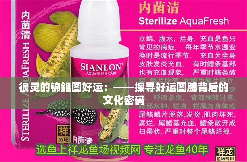 很靈的錦鯉圖好運：——探尋好運圖騰背后的文化密碼