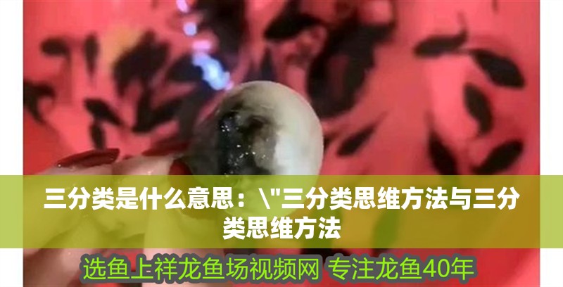 三分類是什么意思：\