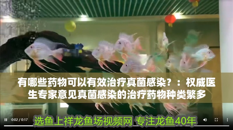 有哪些藥物可以有效治療真菌感染？：權(quán)威醫(yī)生專家意見真菌感染的治療藥物種類繁多