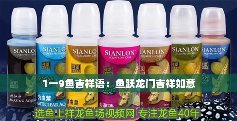 1一9魚吉祥語(yǔ)：魚躍龍門吉祥如意