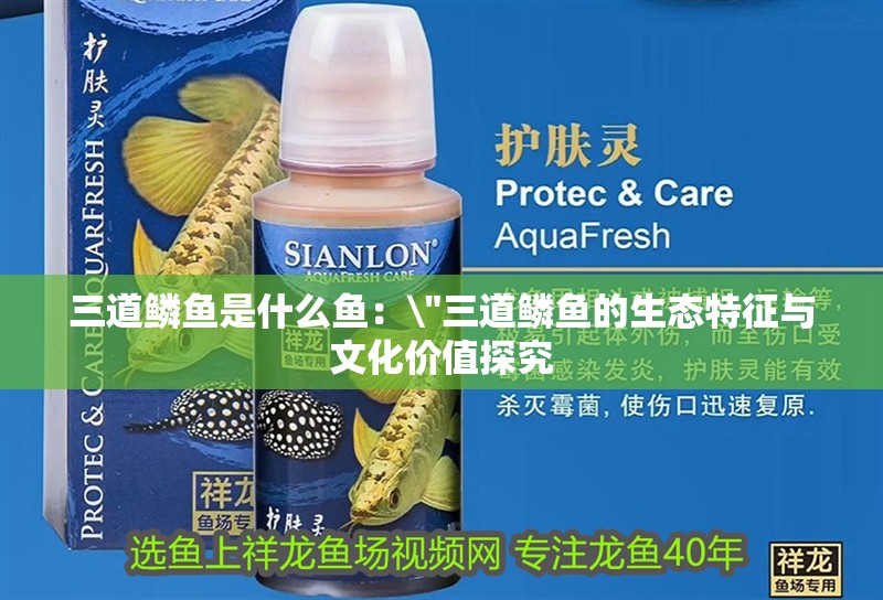 三道鱗魚是什么魚：\