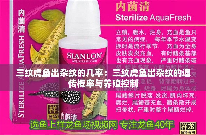 三紋虎魚出雜紋的幾率：三紋虎魚出雜紋的遺傳概率與養殖控制