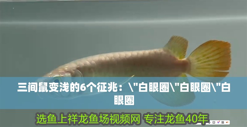 三間鼠變淺的6個征兆：\