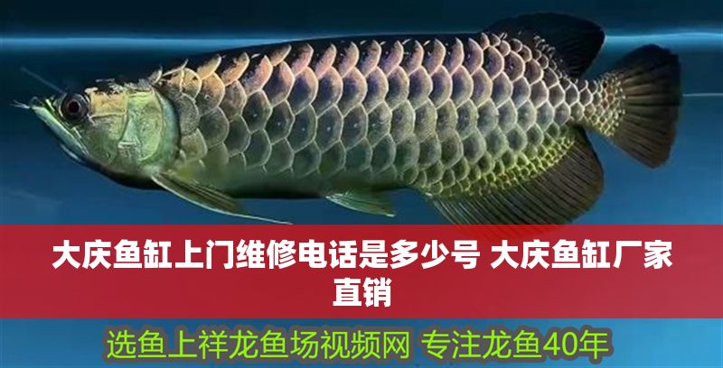 大慶魚缸上門維修電話是多少號 大慶魚缸廠家直銷