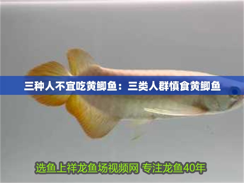 三種人不宜吃黃鯽魚：三類人群慎食黃鯽魚
