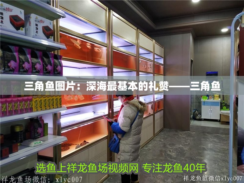 三角魚圖片：深海最基本的禮贊——三角魚