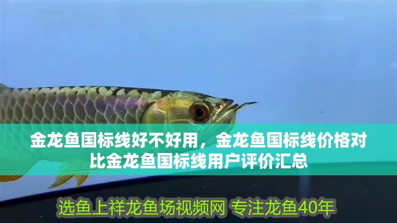 金龍魚國標線好不好用，金龍魚國標線價格對比金龍魚國標線用戶評價匯總