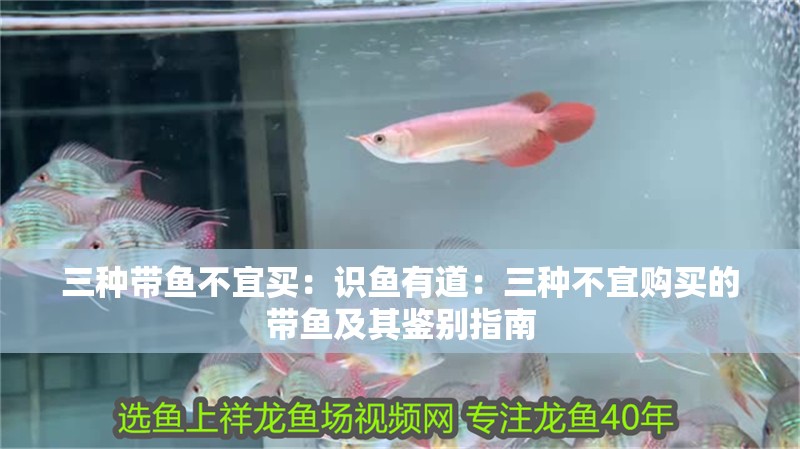三種帶魚不宜買：識魚有道：三種不宜購買的帶魚及其鑒別指南