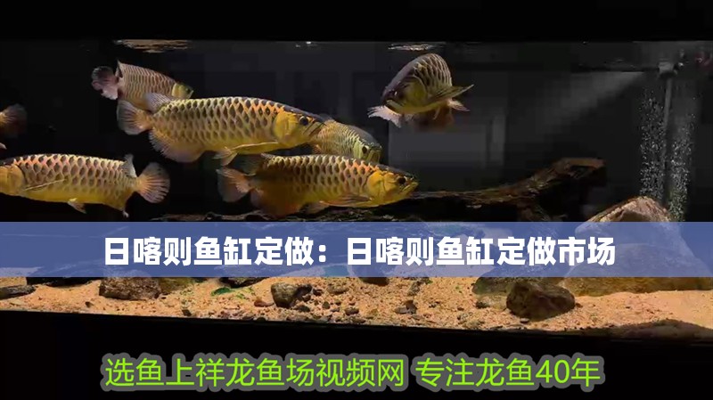 日喀則魚缸定做：日喀則魚缸定做市場