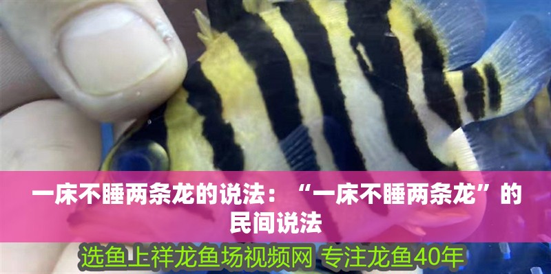 一床不睡兩條龍的說法：“一床不睡兩條龍”的民間說法