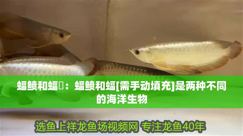 蝠鲼和蝠魟：蝠鲼和蝠[需手動填充]是兩種不同的海洋生物