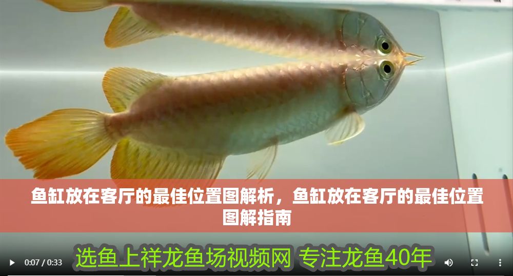 魚缸放在客廳的最佳位置圖解析，魚缸放在客廳的最佳位置圖解指南