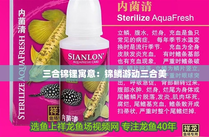 三合錦鋰寓意：錦鱗游動三合美