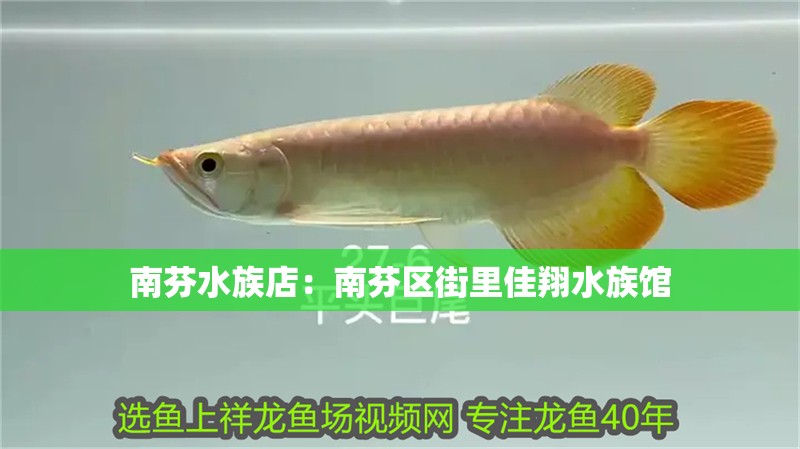 南芬水族店：南芬區街里佳翔水族館