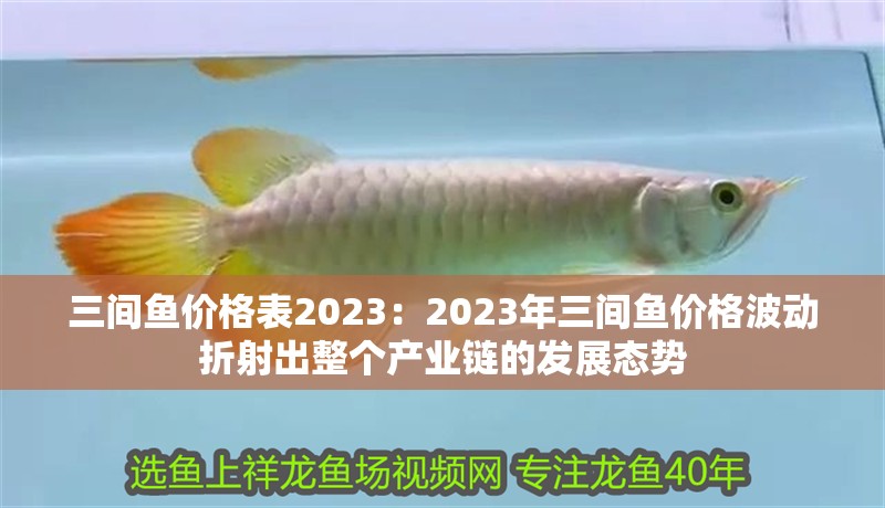 三間魚價格表2023：2023年三間魚價格波動折射出整個產業鏈的發展態勢
