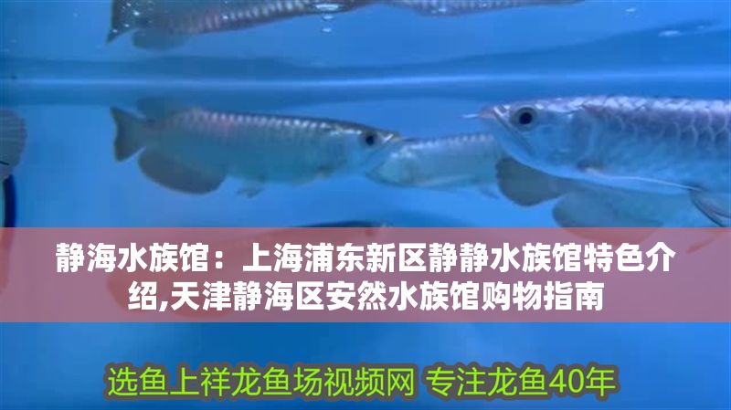 靜海水族館：上海浦東新區(qū)靜靜水族館特色介紹,天津靜海區(qū)安然水族館購物指南