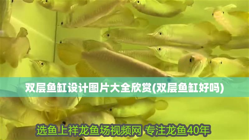雙層魚缸設(shè)計(jì)圖片大全欣賞(雙層魚缸好嗎)