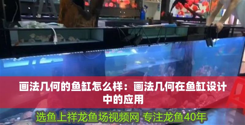 畫法幾何的魚缸怎么樣：畫法幾何在魚缸設(shè)計(jì)中的應(yīng)用