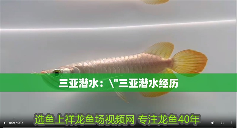 三亞潛水： 三亞潛水：\