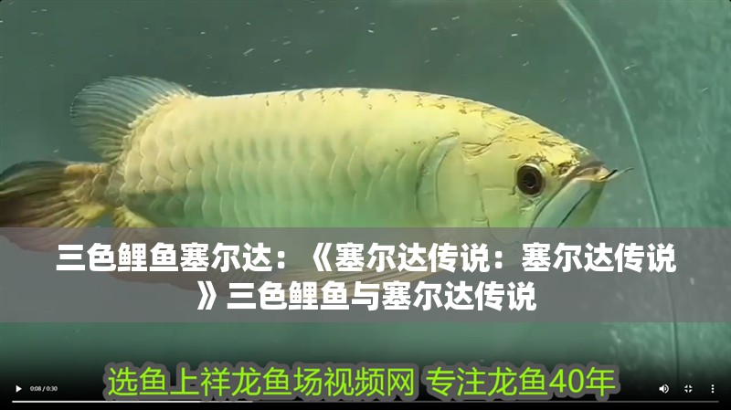 三色鯉魚塞爾達：《塞爾達傳說：塞爾達傳說》三色鯉魚與塞爾達傳說