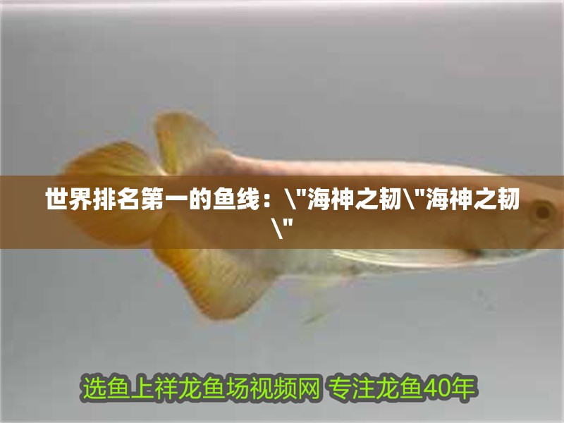 世界排名第一的魚線：\