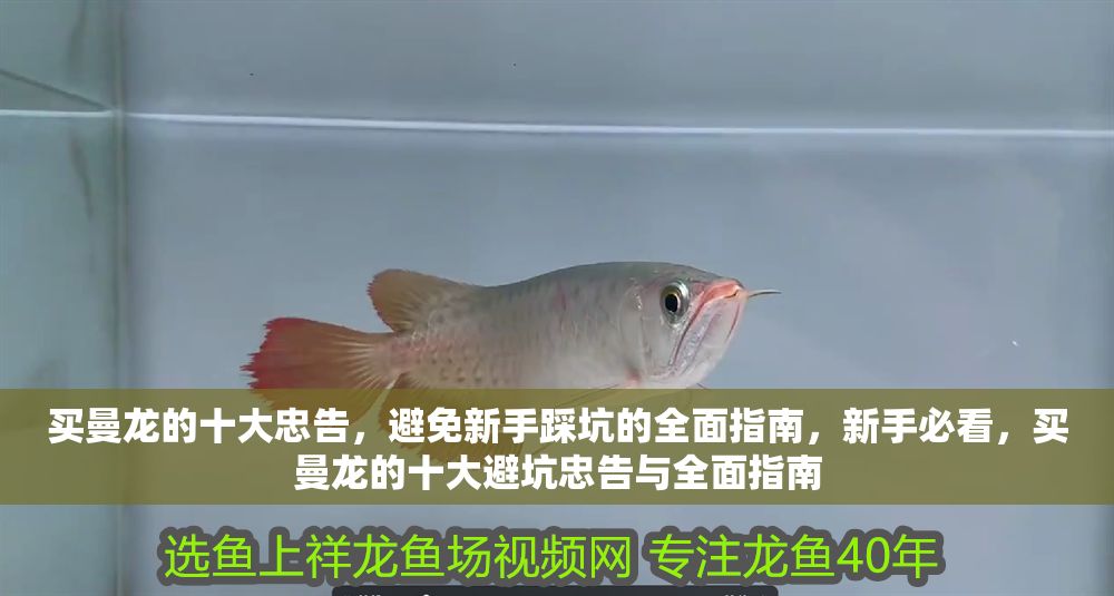 買曼龍的十大忠告，避免新手踩坑的全面指南，新手必看，買曼龍的十大避坑忠告與全面指南