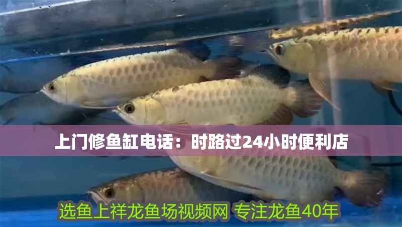 上門修魚缸電話：時路過24小時便利店
