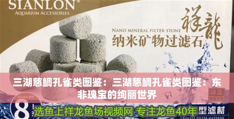 三湖慈鯛孔雀類圖鑒：三湖慈鯛孔雀類圖鑒：東非瑰寶的絢麗世界