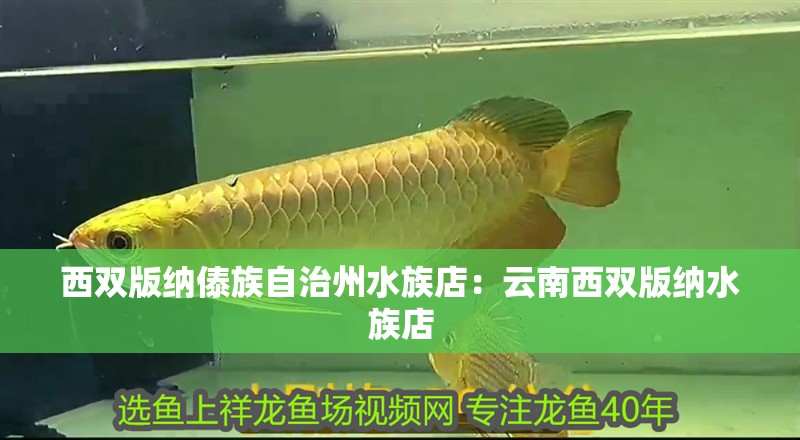 西雙版納傣族自治州水族店：云南西雙版納水族店