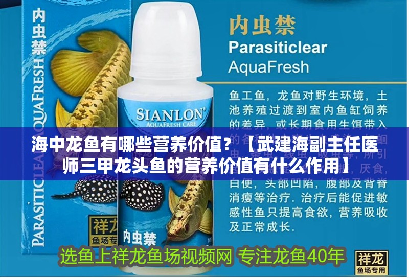 海中龍魚有哪些營養價值？【武建海副主任醫師三甲龍頭魚的營養價值有什么作用】