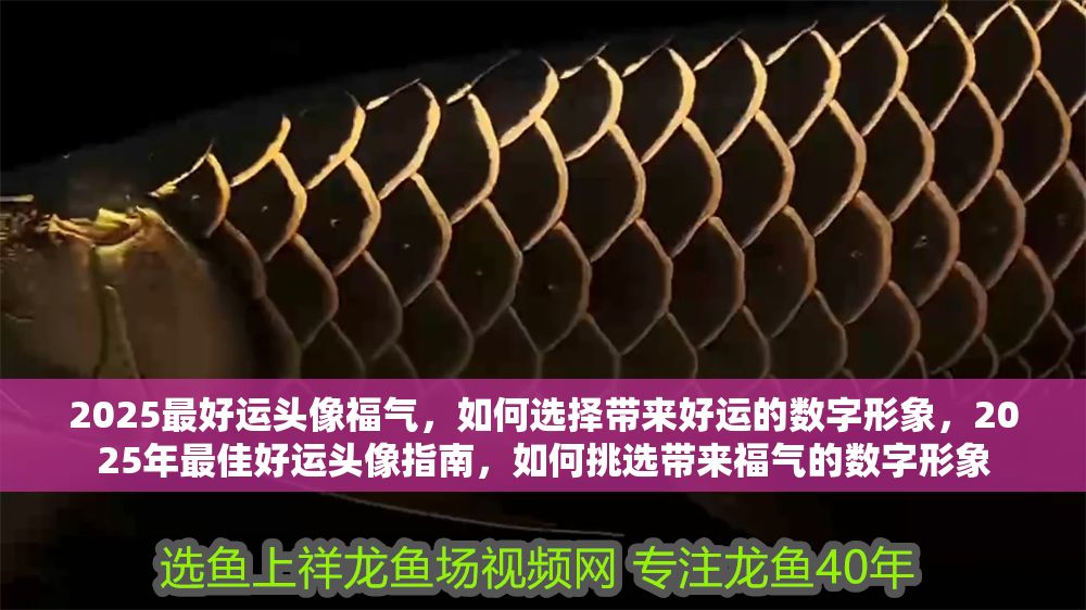 2025最好運頭像福氣，如何選擇帶來好運的數(shù)字形象，2025年最佳好運頭像指南，如何挑選帶來福氣的數(shù)字形象