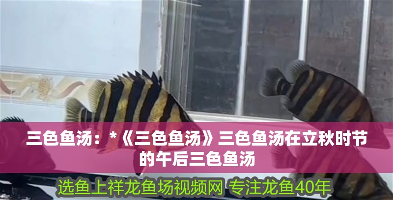 三色魚(yú)湯：*《三色魚(yú)湯》三色魚(yú)湯在立秋時(shí)節(jié)的午后三色魚(yú)湯