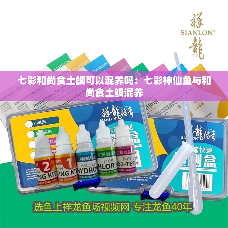 七彩和尚食土鯛可以混養嗎：七彩神仙魚與和尚食土鯛混養
