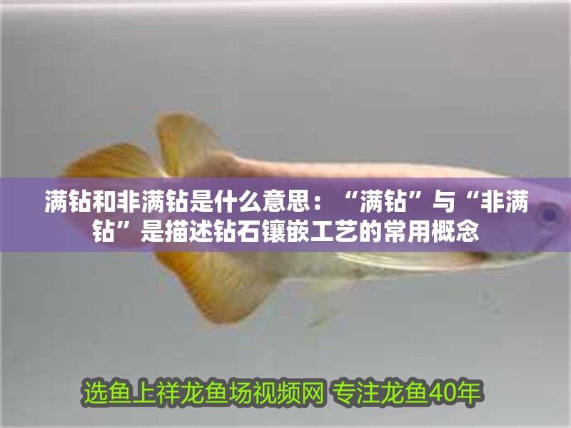 滿(mǎn)鉆和非滿(mǎn)鉆是什么意思：“滿(mǎn)鉆”與“非滿(mǎn)鉆”是描述鉆石鑲嵌工藝的常用概念