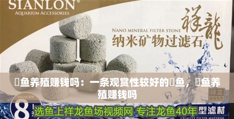 魟魚養殖賺錢嗎：一條觀賞性較好的魟魚，魟魚養殖賺錢嗎 魟魚養殖賺錢嗎：一條觀賞性較好的魟魚，魟魚養殖賺錢嗎 魟魚百科 第1張