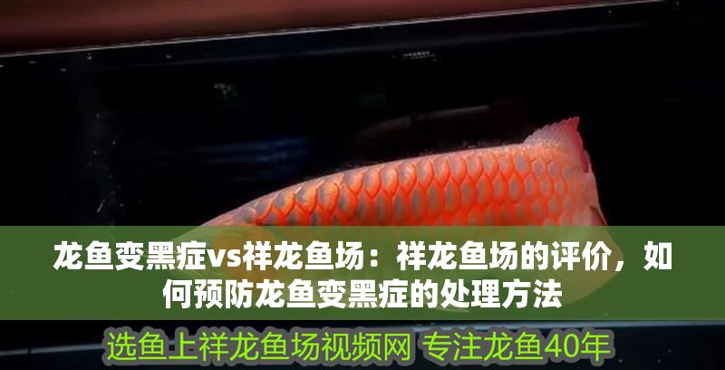 龍魚變黑癥vs祥龍魚場：祥龍魚場的評價，如何預防龍魚變黑癥的處理方法
