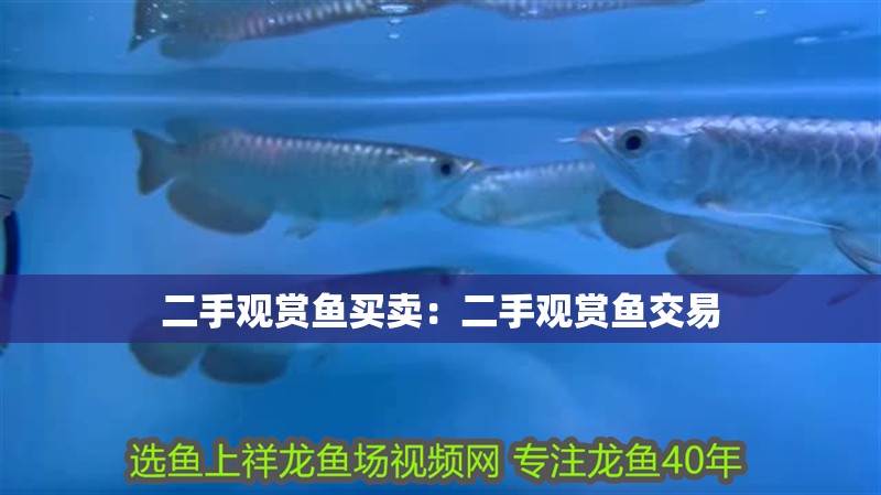 二手觀賞魚(yú)買(mǎi)賣(mài)：二手觀賞魚(yú)交易