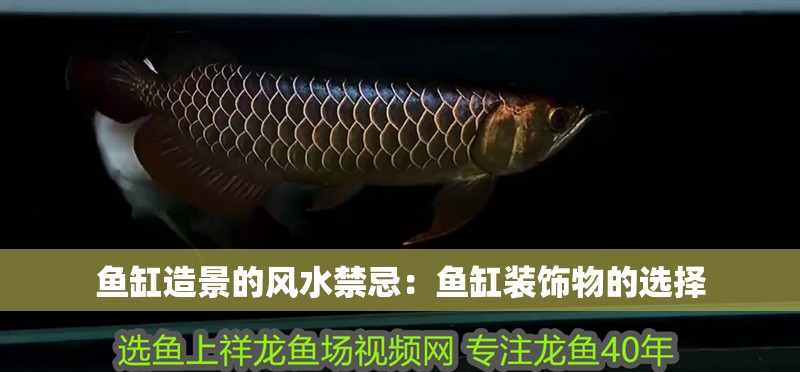 魚(yú)缸造景的風(fēng)水禁忌：魚(yú)缸裝飾物的選擇