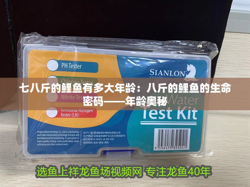 七八斤的鯉魚有多大年齡：八斤的鯉魚的生命密碼——年齡奧秘 七八斤的鯉魚有多大年齡：八斤的鯉魚的生命密碼——年齡奧秘 龍魚論壇