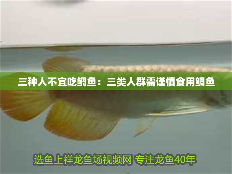 三種人不宜吃鯛魚：三類人群需謹(jǐn)慎食用鯛魚