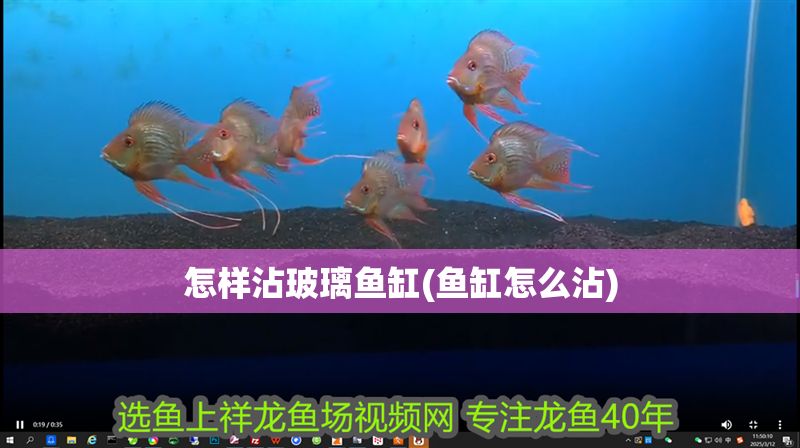 怎樣沾玻璃魚缸(魚缸怎么沾)