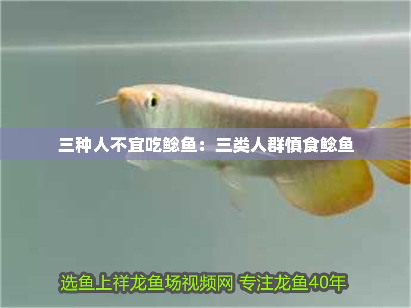 三種人不宜吃鯰魚：三類人群慎食鯰魚