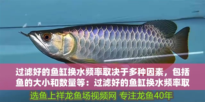 過濾好的魚缸換水頻率取決于多種因素，包括魚的大小和數量等：過濾好的魚缸換水頻率取決于多種因素