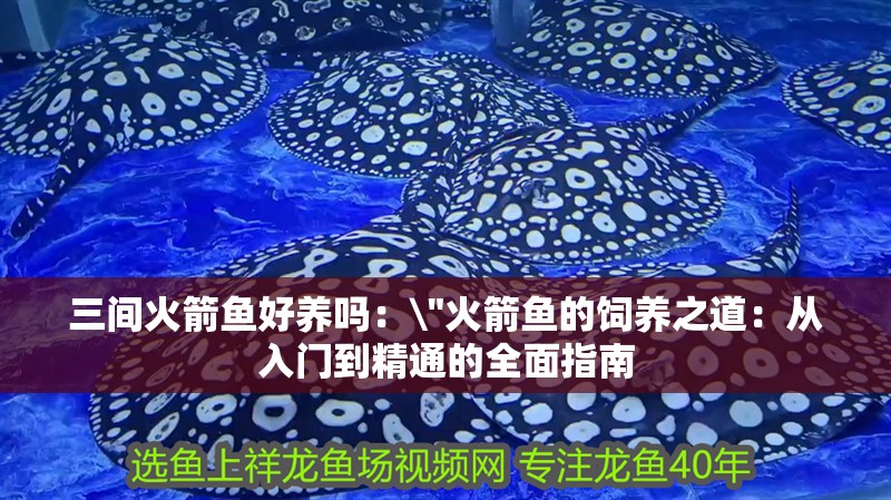 三間火箭魚好養嗎： 三間火箭魚好養嗎：\