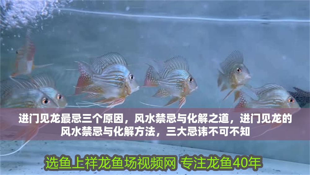 進門見龍最忌三個原因，風水禁忌與化解之道，進門見龍的風水禁忌與化解方法，三大忌諱不可不知