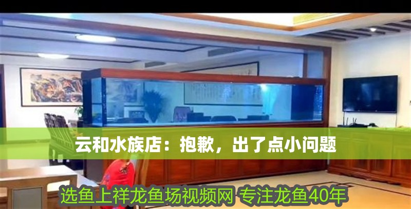 云和水族店：抱歉，出了點小問題 云和水族店：抱歉，出了點小問題 全國水族館企業名錄