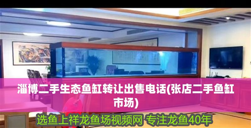 淄博二手生態魚缸轉讓出售電話(張店二手魚缸市場)