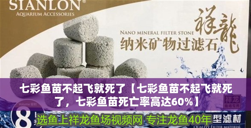 七彩魚苗不起飛就死了【七彩魚苗不起飛就死了，七彩魚苗死亡率高達60%】